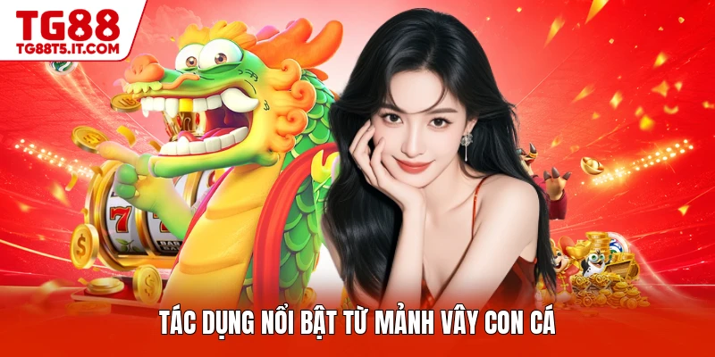 Tác dụng nổi bật từ mảnh vây con cá